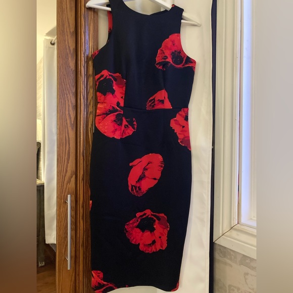 Dress - Picture 1 of 5